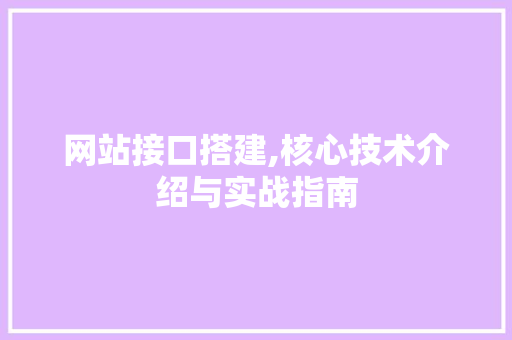 网站接口搭建,核心技术介绍与实战指南 网站接口搭建,核心技术介绍与实战指南 必应SEO