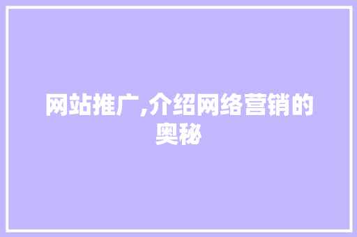 网站推广,介绍网络营销的奥秘