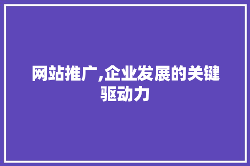 网站推广,企业发展的关键驱动力