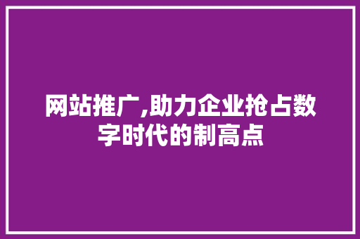 网站推广,助力企业抢占数字时代的制高点