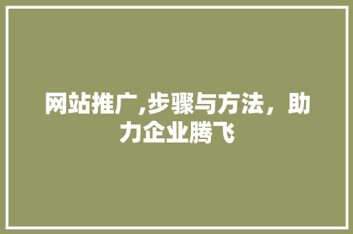 网站推广,步骤与方法，助力企业腾飞