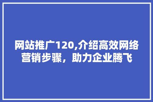 网站推广120,介绍高效网络营销步骤，助力企业腾飞