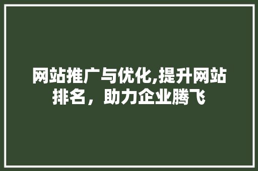 网站推广与优化,提升网站排名，助力企业腾飞