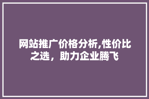 网站推广价格分析,性价比之选，助力企业腾飞