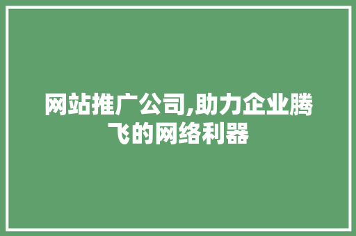 网站推广公司,助力企业腾飞的网络利器 网站推广公司,助力企业腾飞的网络利器 网站建设公司