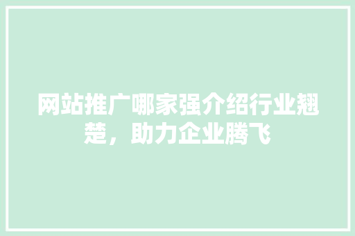 网站推广哪家强介绍行业翘楚，助力企业腾飞