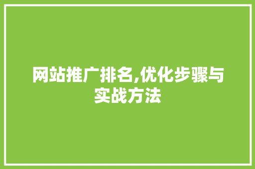 网站推广排名,优化步骤与实战方法 网站推广排名,优化步骤与实战方法 百度SEO