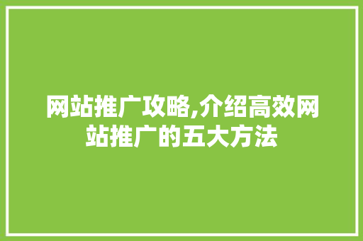网站推广攻略,介绍高效网站推广的五大方法