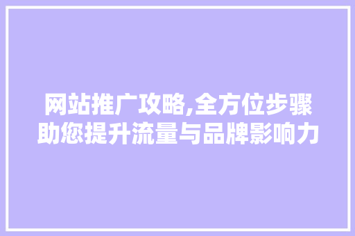 网站推广攻略,全方位步骤助您提升流量与品牌影响力