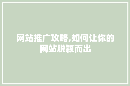 网站推广攻略,如何让你的网站脱颖而出