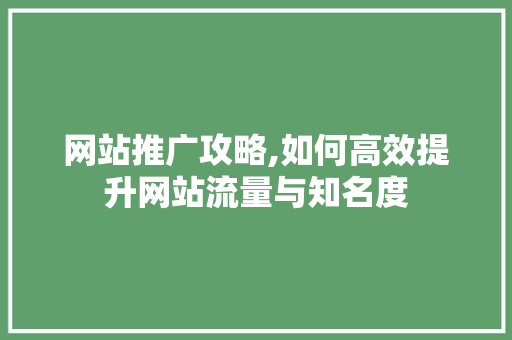 网站推广攻略,如何高效提升网站流量与知名度