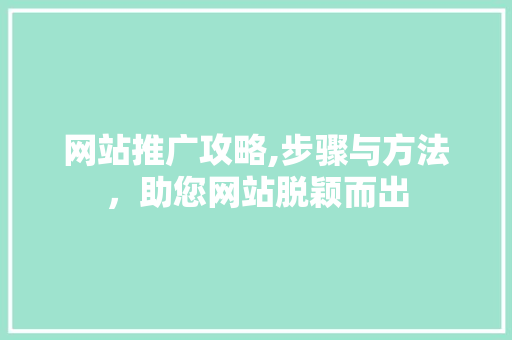 网站推广攻略,步骤与方法，助您网站脱颖而出