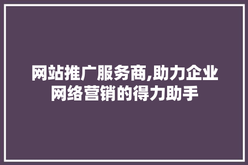 网站推广服务商,助力企业网络营销的得力助手