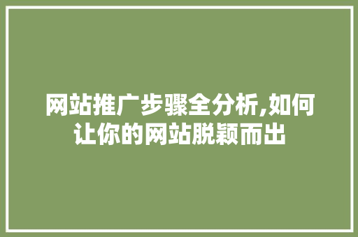 网站推广步骤全分析,如何让你的网站脱颖而出 网站推广步骤全分析,如何让你的网站脱颖而出 百度SEO