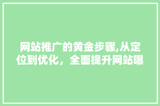 网站推广的黄金步骤,从定位到优化，全面提升网站曝光度