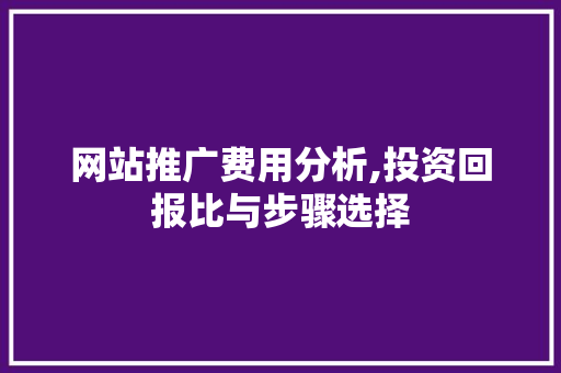 网站推广费用分析,投资回报比与步骤选择