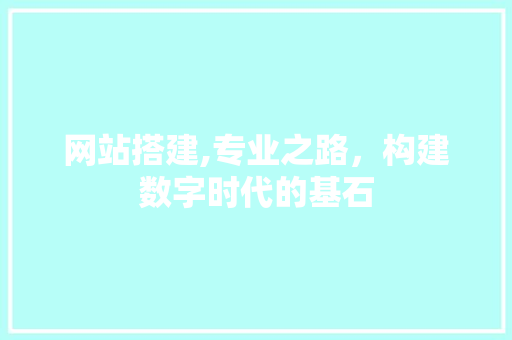 网站搭建,专业之路，构建数字时代的基石