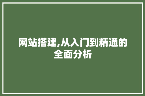 网站搭建,从入门到精通的全面分析