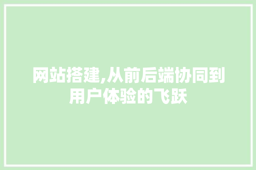 网站搭建,从前后端协同到用户体验的飞跃