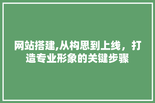 网站搭建,从构思到上线，打造专业形象的关键步骤