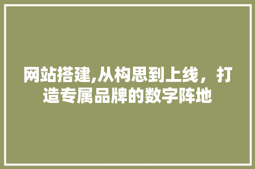 网站搭建,从构思到上线，打造专属品牌的数字阵地