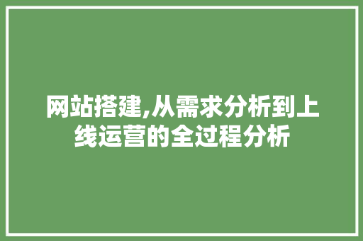 网站搭建,从需求分析到上线运营的全过程分析