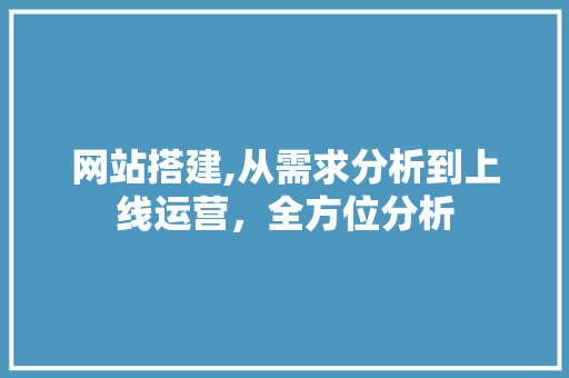 网站搭建,从需求分析到上线运营，全方位分析