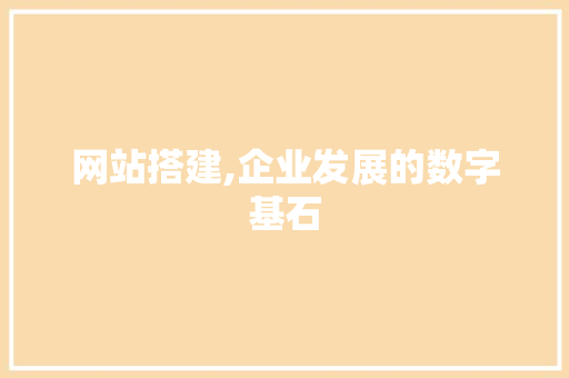 网站搭建,企业发展的数字基石