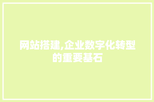 网站搭建,企业数字化转型的重要基石