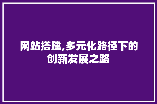 网站搭建,多元化路径下的创新发展之路