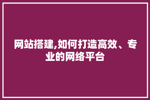 网站搭建,如何打造高效、专业的网络平台