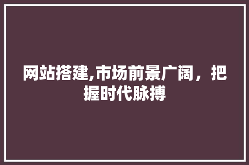 网站搭建,市场前景广阔，把握时代脉搏