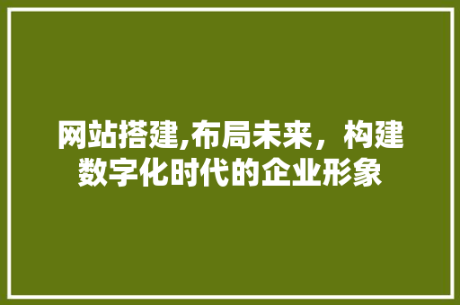 网站搭建,布局未来，构建数字化时代的企业形象 网站搭建,布局未来，构建数字化时代的企业形象 搜狗SEO