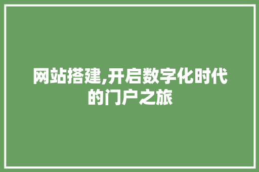 网站搭建,开启数字化时代的门户之旅