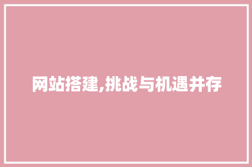 网站搭建,挑战与机遇并存