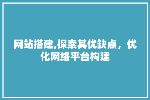 网站搭建,探索其优缺点，优化网络平台构建
