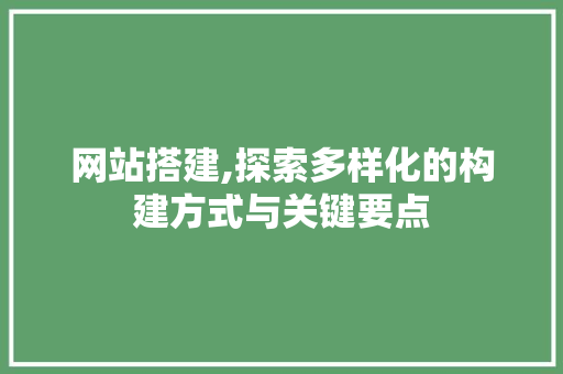 网站搭建,探索多样化的构建方式与关键要点