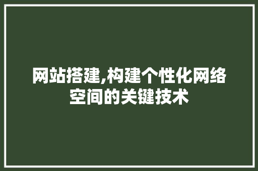 网站搭建,构建个性化网络空间的关键技术