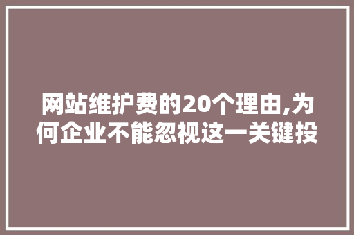 网站维护费的20个理由,为何企业不能忽视这一关键投入