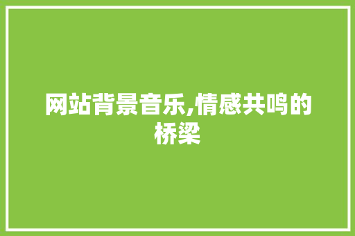 网站背景音乐,情感共鸣的桥梁