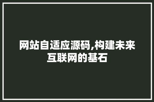 网站自适应源码,构建未来互联网的基石