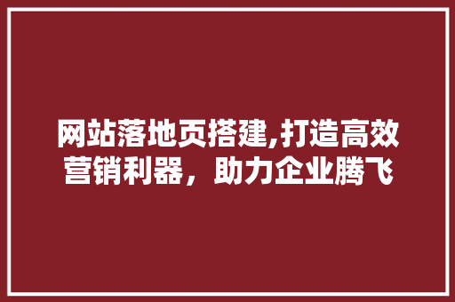 网站落地页搭建,打造高效营销利器，助力企业腾飞