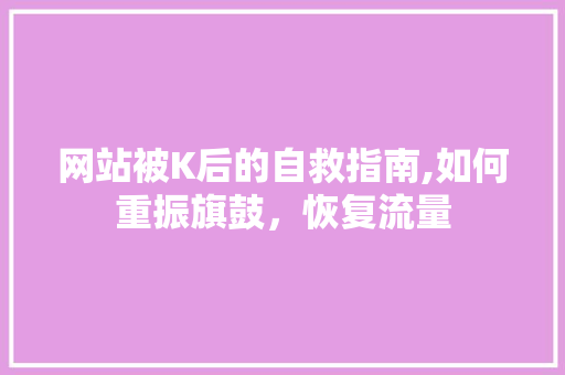 网站被K后的自救指南,如何重振旗鼓，恢复流量