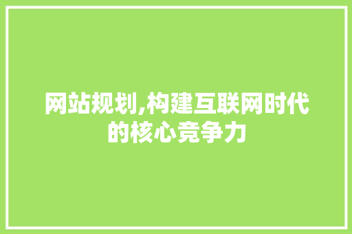 网站规划,构建互联网时代的核心竞争力