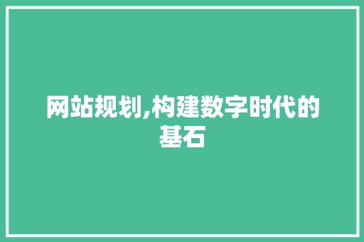 网站规划,构建数字时代的基石