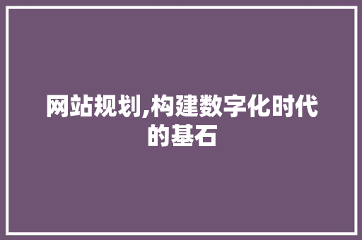 网站规划,构建数字化时代的基石