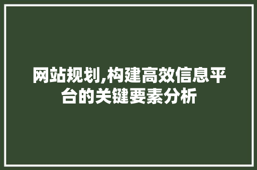 网站规划,构建高效信息平台的关键要素分析