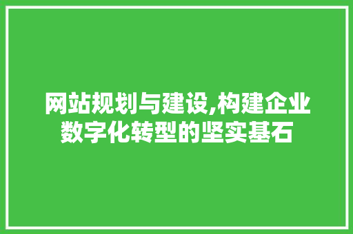 网站规划与建设,构建企业数字化转型的坚实基石