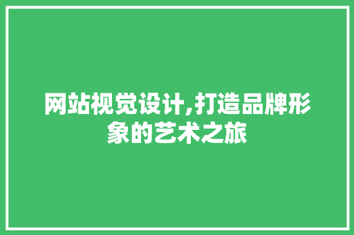 网站视觉设计,打造品牌形象的艺术之旅