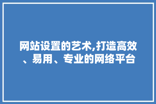 网站设置的艺术,打造高效、易用、专业的网络平台